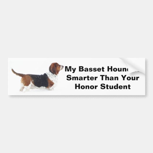 Mijn Basset Hound is slimmere Bumpersticker (Voorkant)