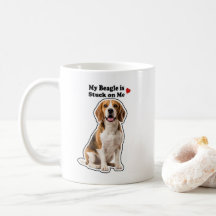 Mijn Beagle Zit Vast Aan Mij Schattige Hond Liefhe