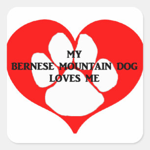 Mijn Berner Sennenhond houdt van me Vierkante Sticker