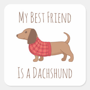 Mijn beste vriend Dachshund Wiener Dog Red Sweater Vierkante Sticker