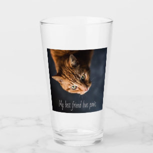 Mijn beste vriend heeft pokken, Cat Kitten Cute Glas