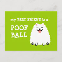 Mijn beste vriend is een Poof Ball - Funny Pommere