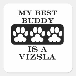 Mijn beste vriend is een Vizsla Vierkante Sticker