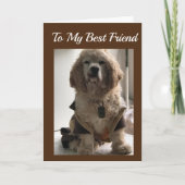 **MIJN BESTE VRIEND** OP JE VERJAARDAG KAART (Voorkant)