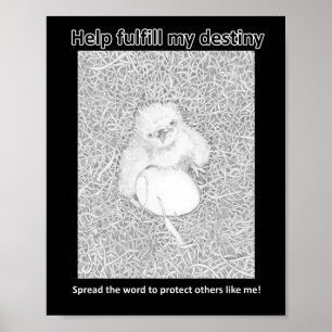 MIJN BESTEMMING VOLDOEN BESPAAR WILDLIFE RAT POISO POSTER