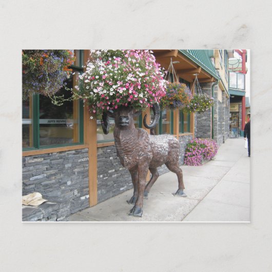 Mijn bloem Pet Briefkaart (Voorkant)