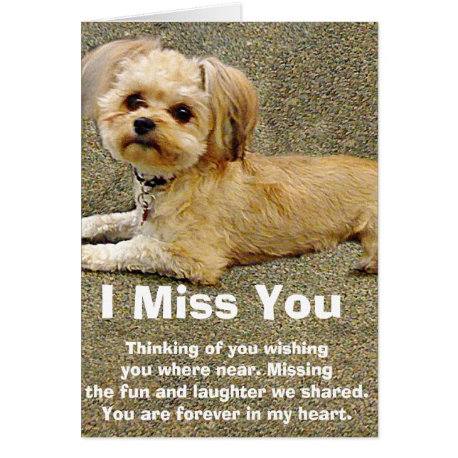 Mijn boeddy_ (Voorkant)