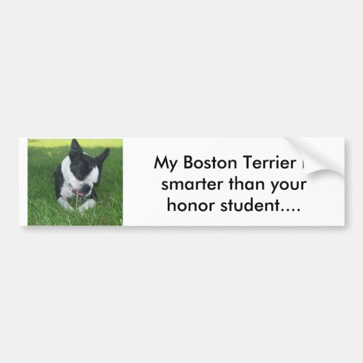 Mijn Boston Terrier is slimmer dan je eer. Bumpersticker (Voorkant)