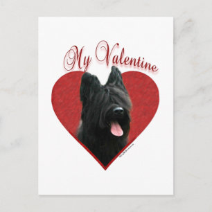 Mijn Briard Valentijn Feestdagenkaart