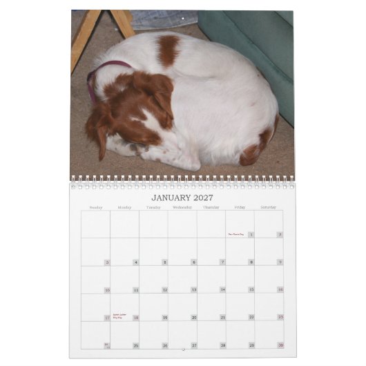 Mijn Brittannië 2011 Kalender (Jan 2027)