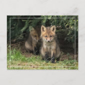 Mijn broer briefkaart (Voorkant)