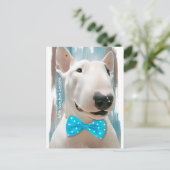 Mijn bull Terrier Briefkaart (Staand voorkant)