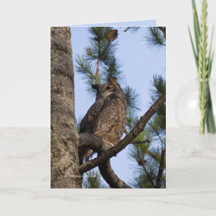 Mijn buurman in het bos kaart