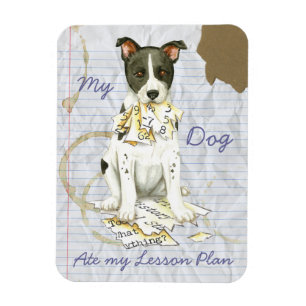 Mijn Canaan Dog Ate Mijn Lesson Plan Magneet