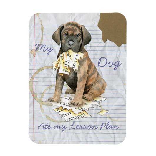 Mijn Cane Corso Ate Mijn Lesson Plan Magneet (Verticaal)