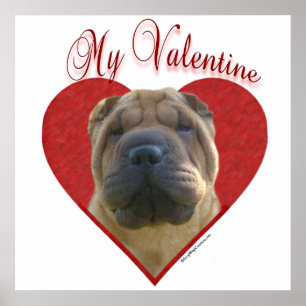 Mijn Chinese Shar-Pei Valentijn Poster