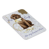 Mijn Chocolade Lab en mijn lesplan Magneet (Rechterzijde)