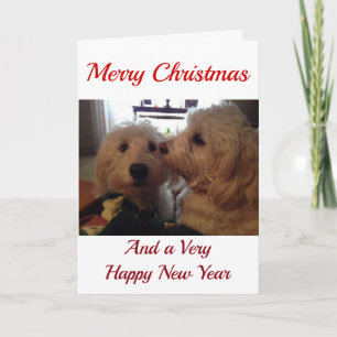 MIJN **CHRISTMAS PUPS** BESTE CHRISTMAS OOIT FEESTDAGEN KAART