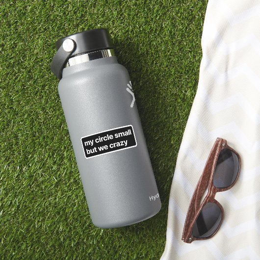 Mijn cirkel is klein maar gek sticker (HydroFlask Insitu)