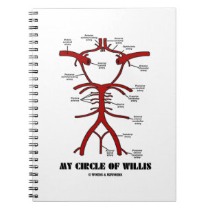 Mijn cirkel van Willis (anatomisch) Notitieboek