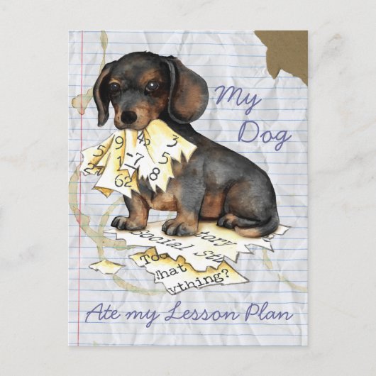 Mijn Dachshund Ate Mijn Lesson Plan Briefkaart (Voorkant)