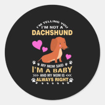 Mijn Dachshund is mijn Baby