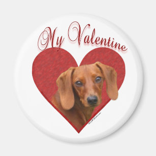 Mijn Dachshund Valentijn Magneet