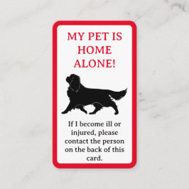 Mijn dichter, Dog is alleen thuiskaart Contactkaartje