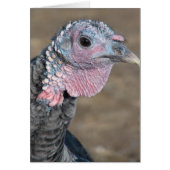 Mijn dichter Turkije (Voorkant)