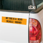 MIJN DOG IS EEN BEND (BEAGE-HOUND) BUMPERSTICKER (Op Truck)
