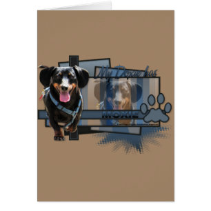 Mijn Doxie heeft Moxie