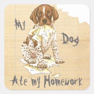 Mijn Duitse schorthogeschoolde pointer over mijn t Vierkante Sticker