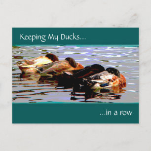 Mijn eendjes op een rij briefkaart
