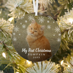 Mijn eerste kerstfoto Snowflakes Cat Photo Metalen Ornament