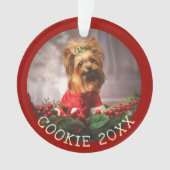 Mijn eerste kerstknuppel aanpassen ornament (voorkant)