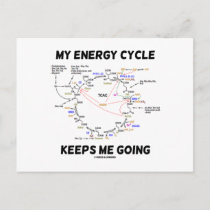 Mijn energiecyclus houdt me draaiende (Krebs cyclu Briefkaart