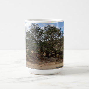 Mijn favoriete boom! Van het Collectie van de Bloe Koffiemok