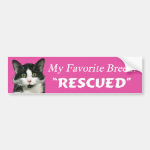 Mijn favoriete Bumpersticker voor borstkat