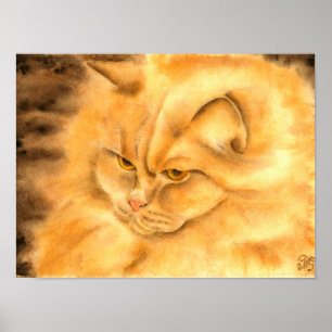 Mijn favoriete gemberkat poster