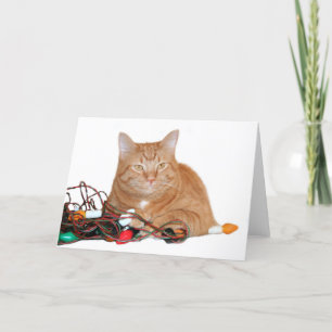 Mijn. Feestdagen Kaart