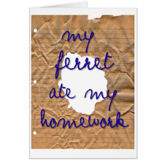 Mijn Ferret Ate Mijn thuiswerk