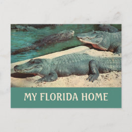 Mijn Florida Thuis Gator Ansichtkaart Briefkaart