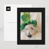 Mijn gelukkige Pet Westie Briefkaart (Voorkant / Achterkant)