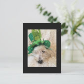 Mijn gelukkige Pet Westie Briefkaart (Staand voorkant)