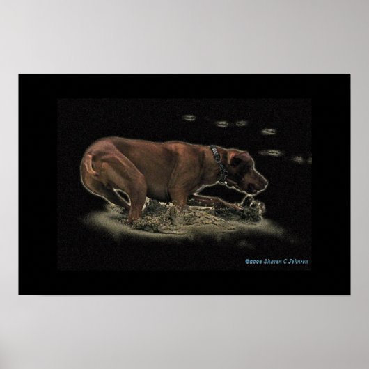 Mijn gett poster (Voorkant)