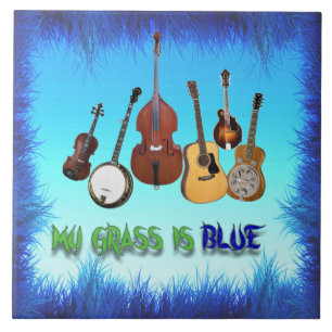 MIJN GRAS IS BLAUW TEGELTJE