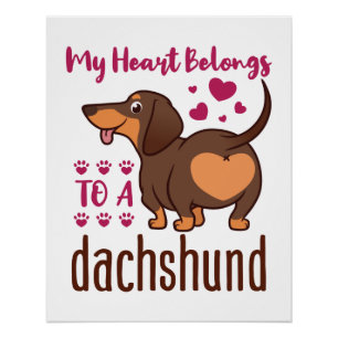 Mijn hart behoort tot een Dachshund Perfect Poster
