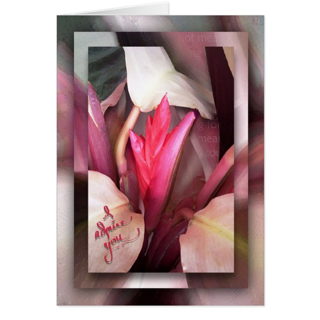 Mijn Hero (Voorkant)