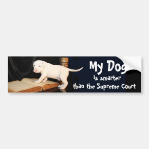 Mijn hond is slimmer dan het Hooggerechtshof Bumpersticker