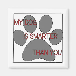 Mijn hond is slimmer dan jij Magnet. Magneet
